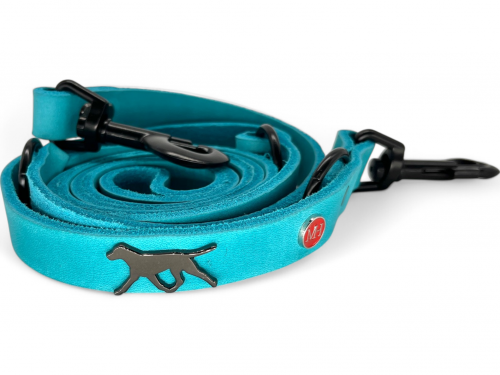 Laisse en cuir gras réglable en 3 positions turquoise